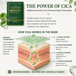 WellDerma Premium CICA Treatment Repair Fitting Mask (box of 4)
