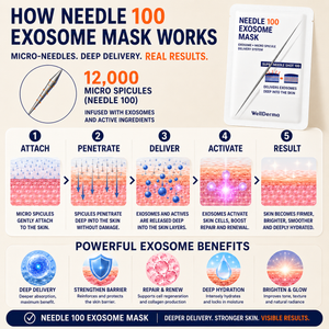 WellDerma Needle 100 EXOSOME Mask (box of 5)